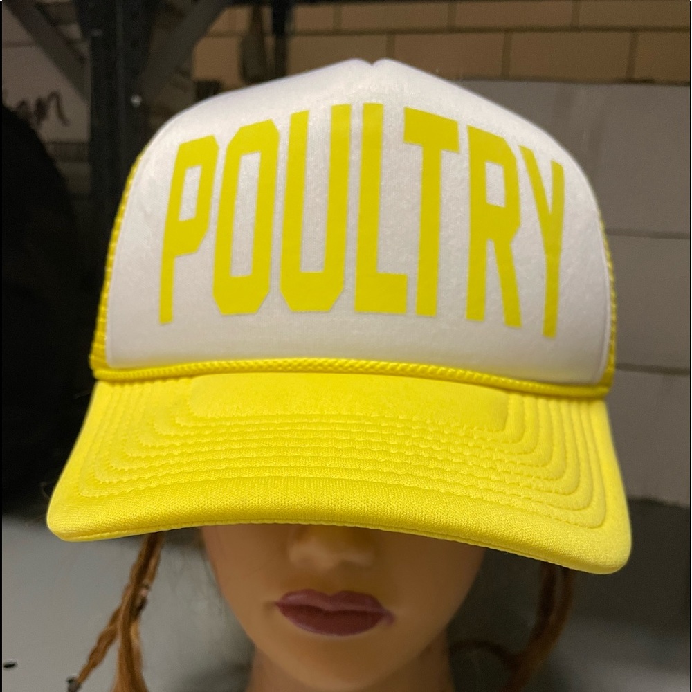 NWOT New Without Tags POULTRY mesh trucker SnapBack